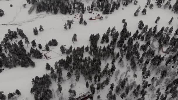 Góry las drzewa śnieg szary zima Rosja Arkhyz widok z góry — Wideo stockowe