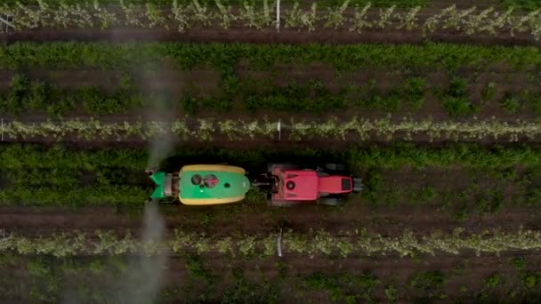 Kemisk bearbetning äpple fruktträdgård maskin spruta traktor blommande industri — Stockvideo