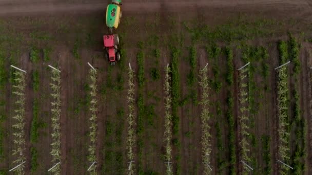 Chemische verwerking appelboomgaard machines sproeier trekker bloeiende industrie — Stockvideo