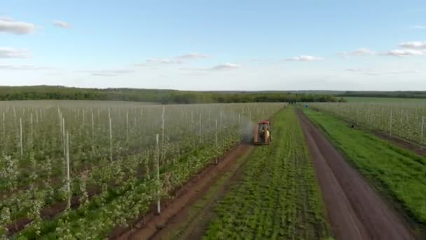 化学処理リンゴ園機械噴霧器トラクター開花業界 — ストック動画