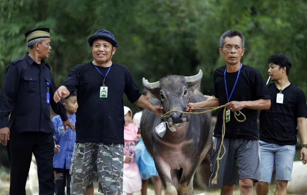 Bayram Kurban Bayramı 2016 kutlamaları