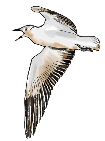 Dibujo ilustrativo vectorial dibujado a mano de una gaviota volando — Archivo Imágenes Vectoriales