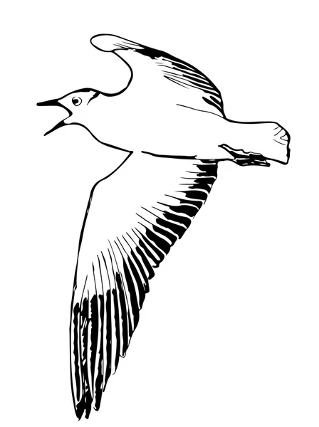 Illustration vectorielle dessinée à la main d'une mouette volant — Image vectorielle