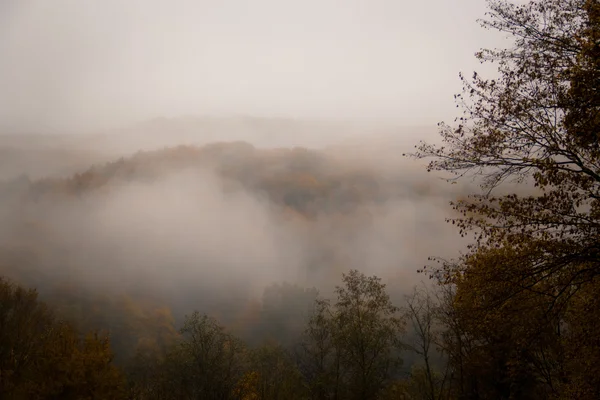 Mystischer Nebel in den Bergen — Stockfoto