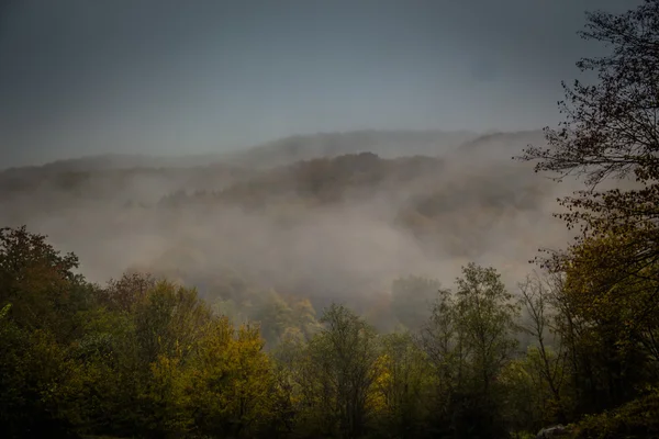 mystic fog in the mountains