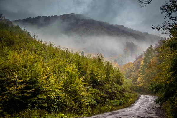 mystic road in the mountains