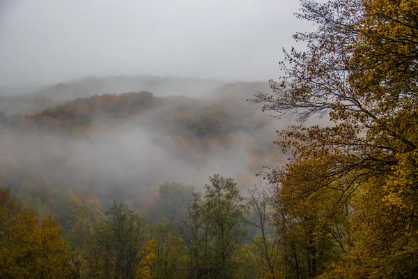Nevoeiro místico nas montanhas — Fotografia de Stock