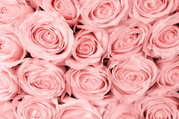 粉色玫瑰花束的顶部视图。 自然花朵背景 — 图库照片