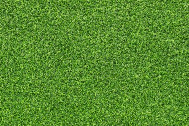 Yeşil çimlerin en üst manzarası. Modern moda soyut doğal doku arkaplanı