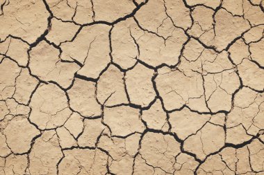 Kurumuş çatlak toprağın üst görüntüsü. Kuraklık, mahsul yetersizliği, küresel ısınma, iklim değişikliği kavramı. Soyut doku arkaplanı