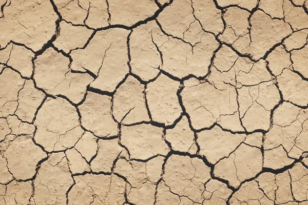 Stock image Top view of the dried up cracked soil. Drought, crop failure, global warming, climate change concept. Abstract texture background