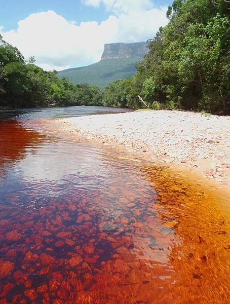 Красноватая река Канаймы Лицензионные Стоковые Изображения