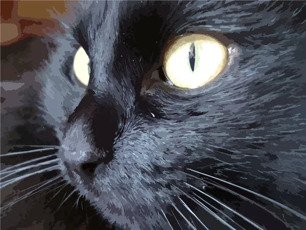 Katzenillustration mit großen gelben Augen. schwarze Farbe — Stockvektor