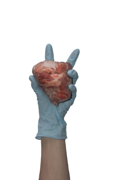 Heart gloved hand in medical blue — Stock Photo, Image