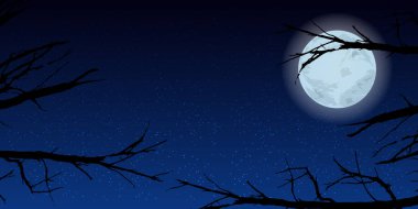 Gökyüzü ay ağaçlar gece. İllüstrasyon