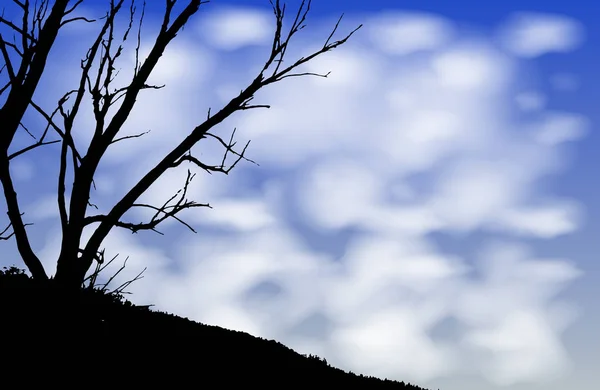 Bomen silhouet nacht wolken. Illustratie — Stockvector