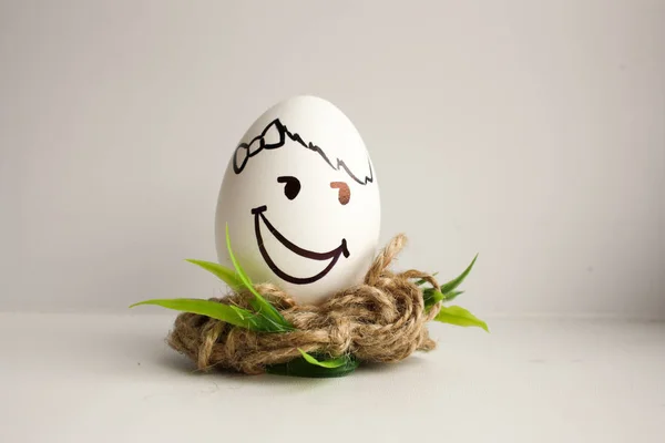 Los huevos son hocicos divertidos. Foto para su diseño —  Fotos de Stock