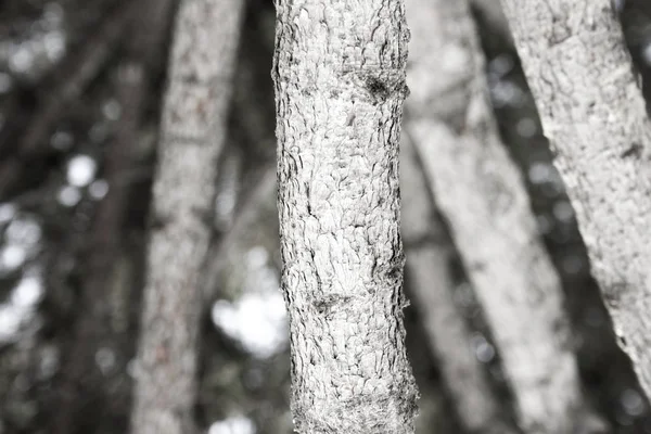 Texturu pozadí. Foto pro návrh. — Stock fotografie