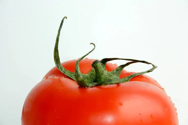 Pomodoro rosso su fondo bianco. Foto per il design — Foto Stock