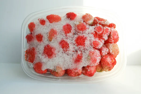 Jordgubbar frysta med is i en behållare. Foto — Stockfoto