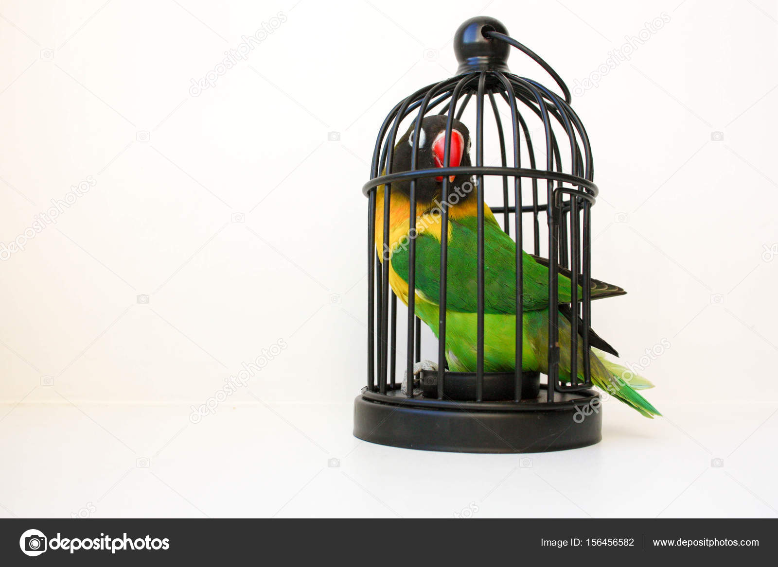 a parrot in a cage