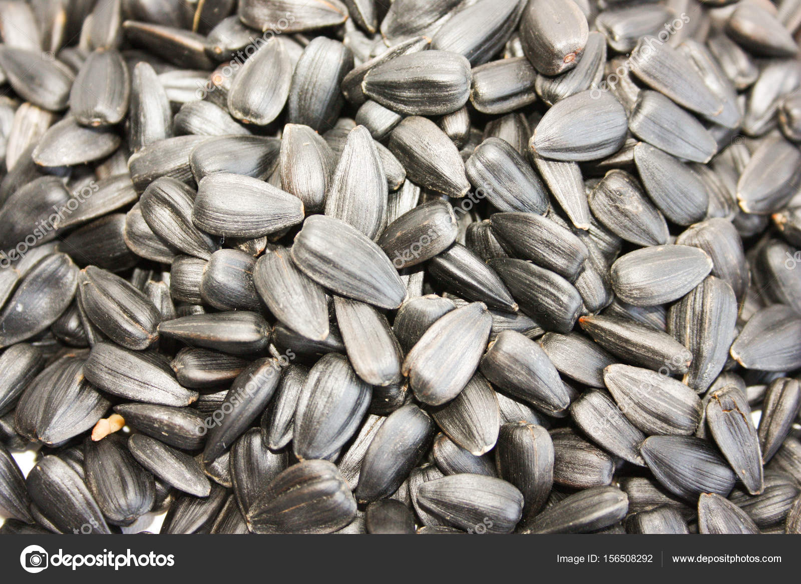 Семена Подсолнечника Купить Для Посадки Сорт Грандис