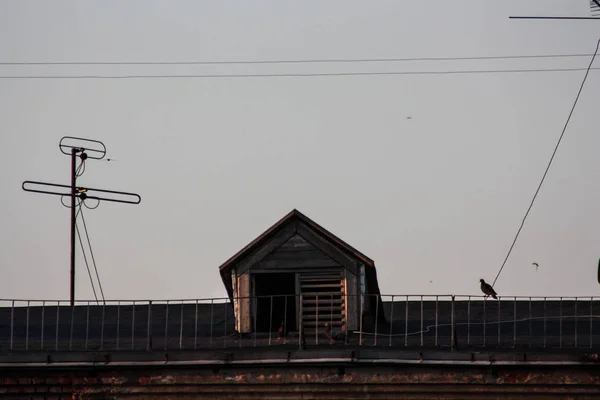 지붕에 비둘기입니다. 도시 풍경 — 스톡 사진