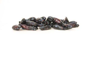 Hanımeli berry. Fotoğraf