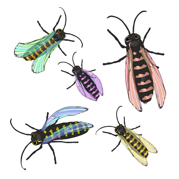 Včely vícebarevný s transparentní křídly — Stockový vektor