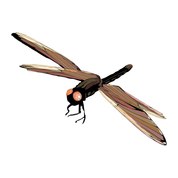 Rote Libelle auf weißem isoliert — Stockvektor