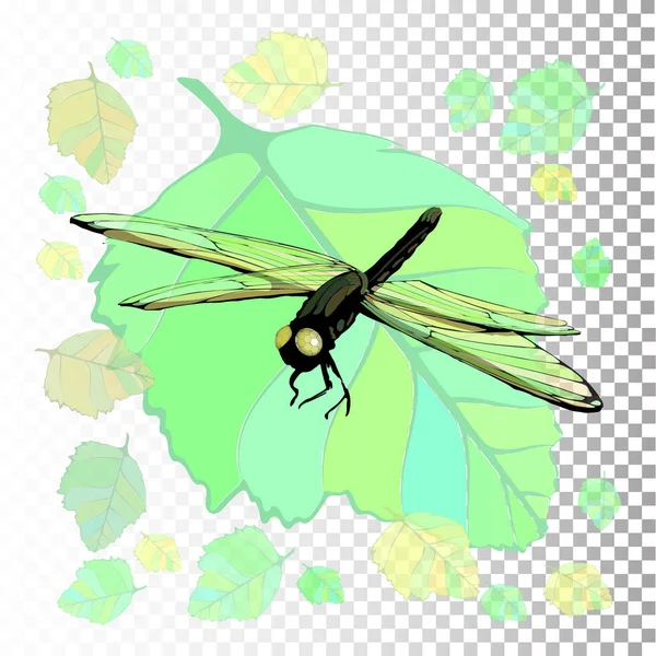 Dragonfly. Symbol léta. Ilustrace — Stockový vektor