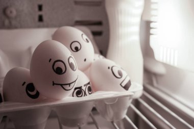 Fikir kavramı. Yüz yumurta buzdolabında çok komiksiniz