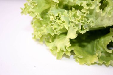 Beyaz bir arka plan üzerinde yeşil marul