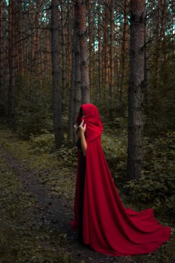 Cadılar Bayramı kavramı. Bir cadı arasında kırmızı