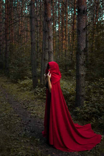 Cadılar Bayramı kavramı. Bir cadı arasında kırmızı — Stok fotoğraf