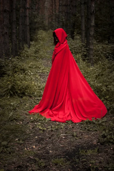 Concepto de Halloween. Una bruja con capucha — Foto de Stock