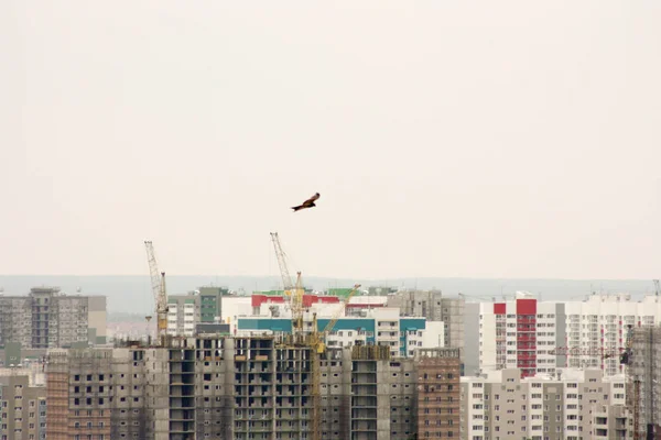 建設中の都市。眺め — ストック写真