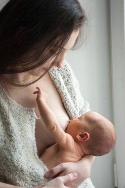 Anne ve bebek. Emzirme. dikey