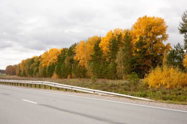 yol sonbahar manzara. sarı ve yeşil