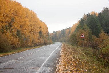 yol asfalt arabalar için. Senil manzara