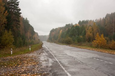 Sonbahar araçlık yol kavşak.
