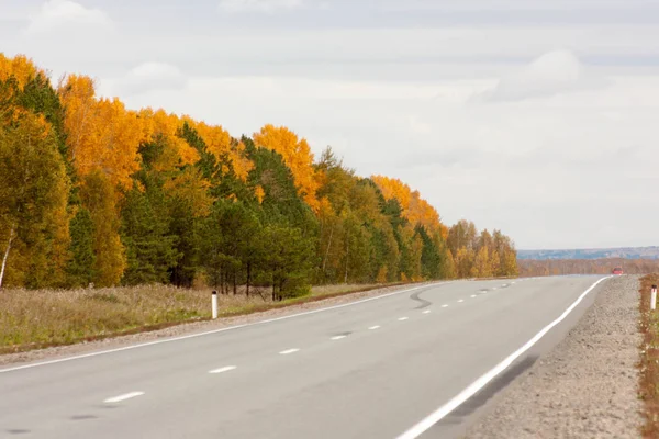 yol sonbahar manzara. sarı ve yeşil