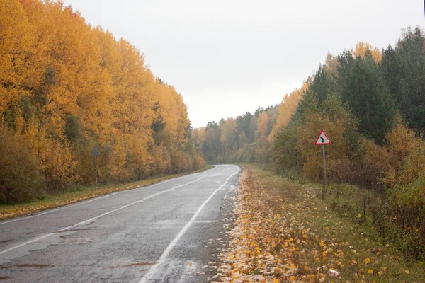 yol asfalt arabalar için. Senil manzara
