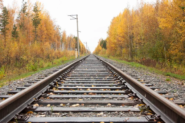 demiryolu tren için. Elveda kavramı.