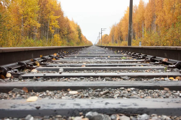 Tren. Elveda kavramı. Fotoğraf