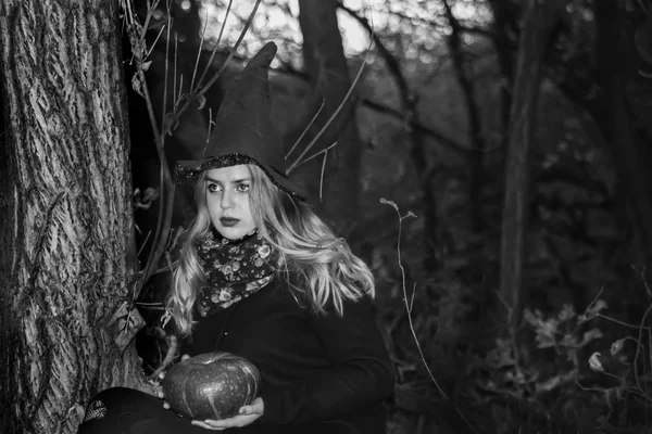 万圣节的概念。女巫在黑暗的森林里 — 图库照片