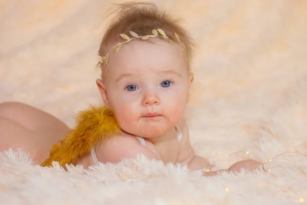 Anielskie dziecko z miękkimi skrzydłami z puszystymi — Zdjęcie stockowe
