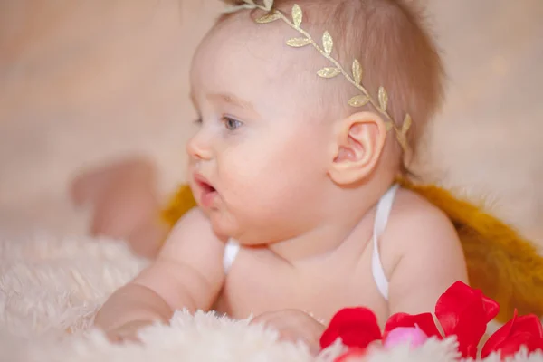 Pequeno bebê, anjo em rosas em um bege — Fotografia de Stock