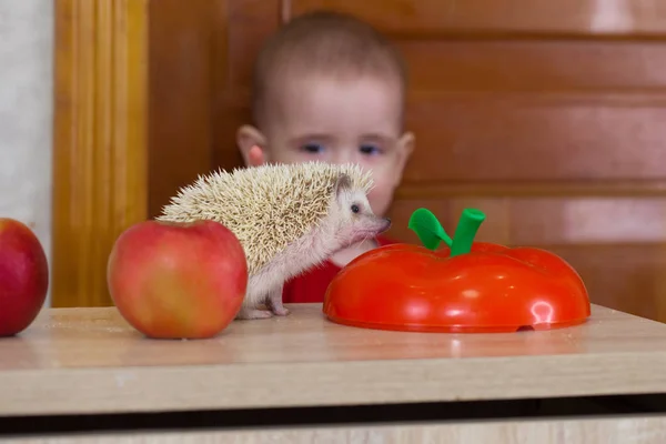 Kleine baby en sinaasappels. Vitaminen voor — Stockfoto