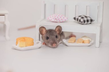 Beyaz arka planda, bebek tezgahının altında ağız sulandıran peynirli şirin fareler.